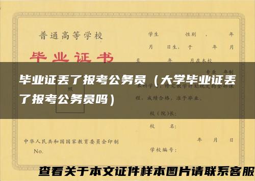 毕业证丢了报考公务员（大学毕业证丢了报考公务员吗）