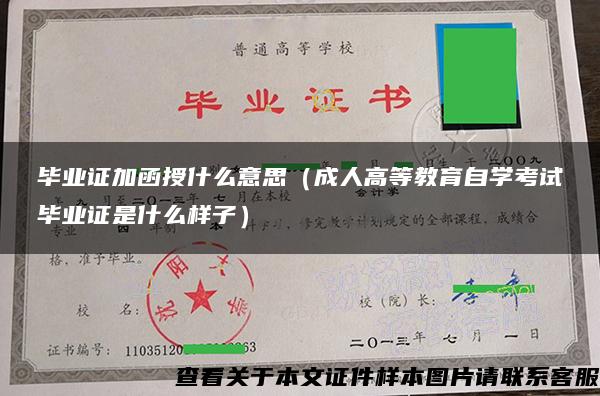 毕业证加函授什么意思（成人高等教育自学考试毕业证是什么样子）