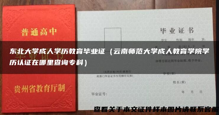 东北大学成人学历教育毕业证（云南师范大学成人教育学院学历认证在哪里查询专科）