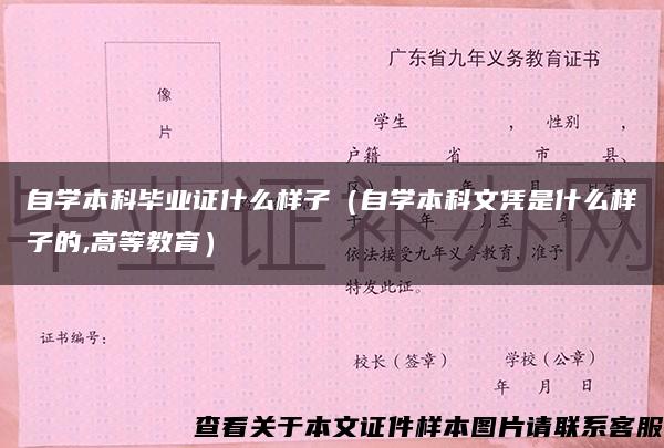 自学本科毕业证什么样子（自学本科文凭是什么样子的,高等教育）