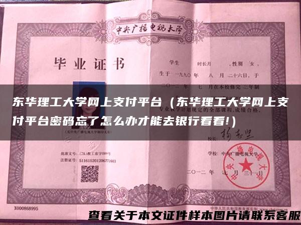 东华理工大学网上支付平台（东华理工大学网上支付平台密码忘了怎么办才能去银行看看!）