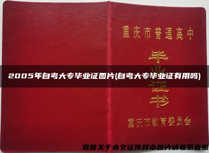 2005年自考大专毕业证图片(自考大专毕业证有用吗)