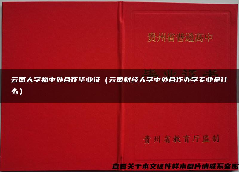 云南大学物中外合作毕业证（云南财经大学中外合作办学专业是什么）