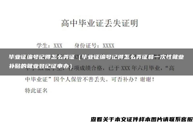 毕业证编号记得怎么弄证（毕业证编号记得怎么弄证和一次性就业补贴的就业登记证申办）