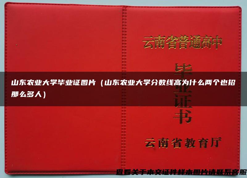 山东农业大学毕业证图片（山东农业大学分数线高为什么两个也招那么多人）