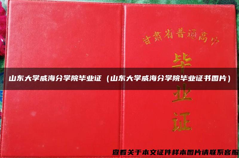 山东大学威海分学院毕业证（山东大学威海分学院毕业证书图片）