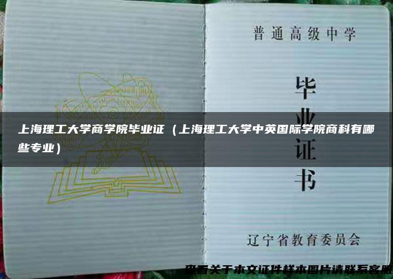 上海理工大学商学院毕业证（上海理工大学中英国际学院商科有哪些专业）