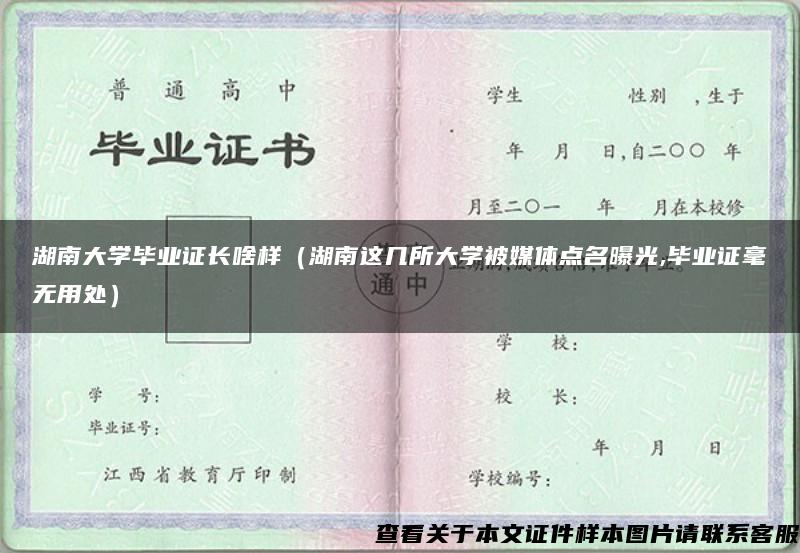 湖南大学毕业证长啥样（湖南这几所大学被媒体点名曝光,毕业证毫无用处）