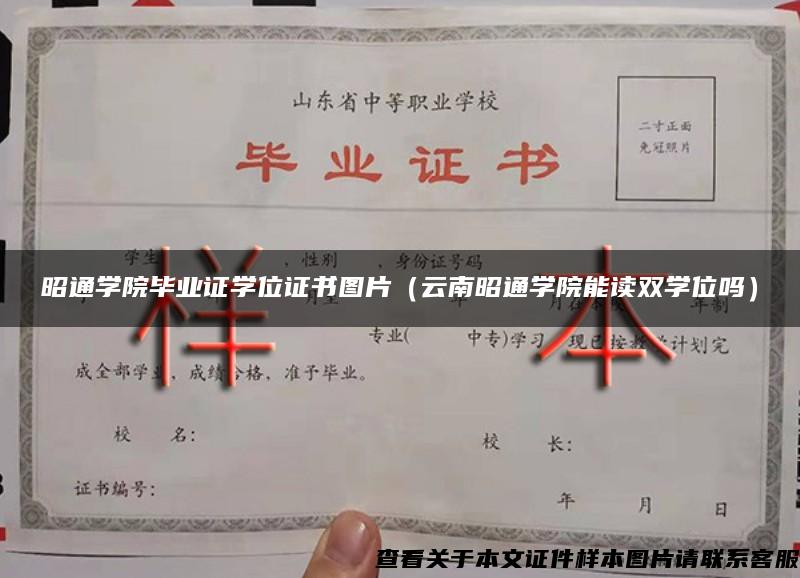 昭通学院毕业证学位证书图片（云南昭通学院能读双学位吗）