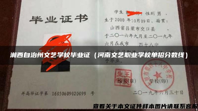 湘西自治州文艺学校毕业证（河南文艺职业学校单招分数线）