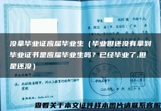 没拿毕业证应届毕业生（毕业但还没有拿到毕业证书是应届毕业生吗？已经毕业了,但是还没）