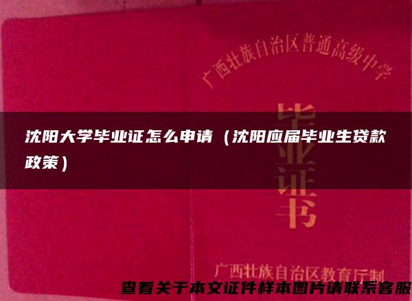 沈阳大学毕业证怎么申请（沈阳应届毕业生贷款政策）