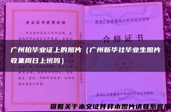 广州拍毕业证上的照片（广州新华社毕业生照片收集周日上班吗）