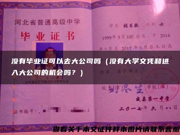 没有毕业证可以去大公司吗（没有大学文凭和进入大公司的机会吗？）