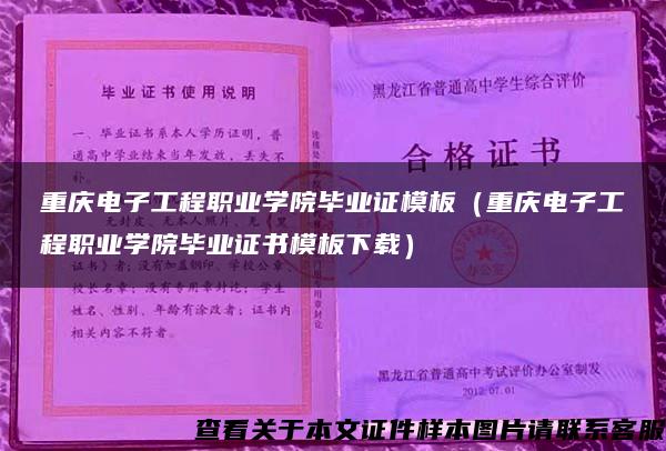 重庆电子工程职业学院毕业证模板（重庆电子工程职业学院毕业证书模板下载）