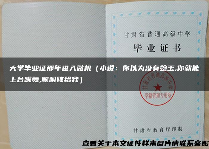 大学毕业证那年进入微机（小说：你以为没有婉玉,你就能上台跳舞,顺利嫁给我）