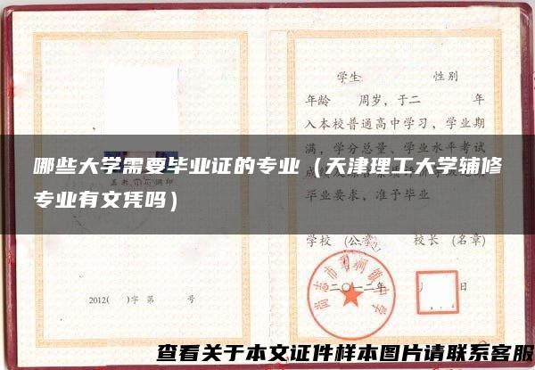 哪些大学需要毕业证的专业（天津理工大学辅修专业有文凭吗）