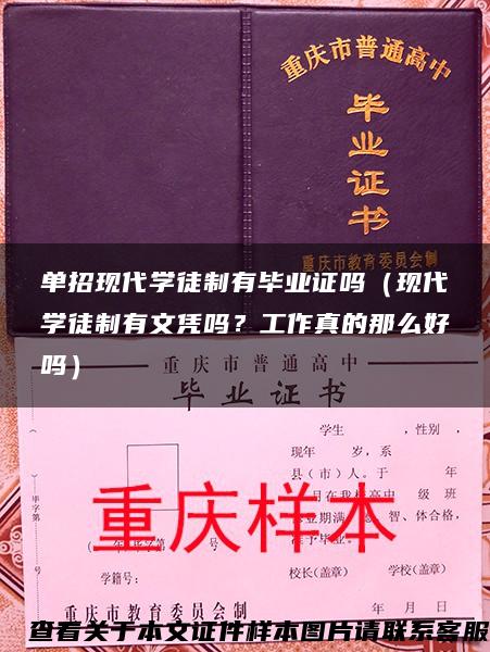 单招现代学徒制有毕业证吗（现代学徒制有文凭吗？工作真的那么好吗）