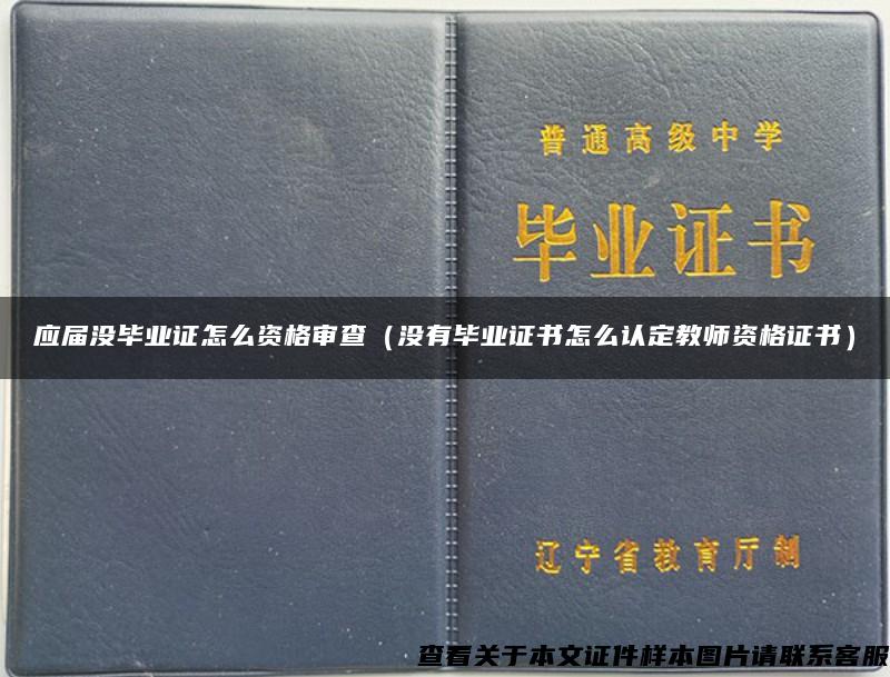 应届没毕业证怎么资格审查（没有毕业证书怎么认定教师资格证书）