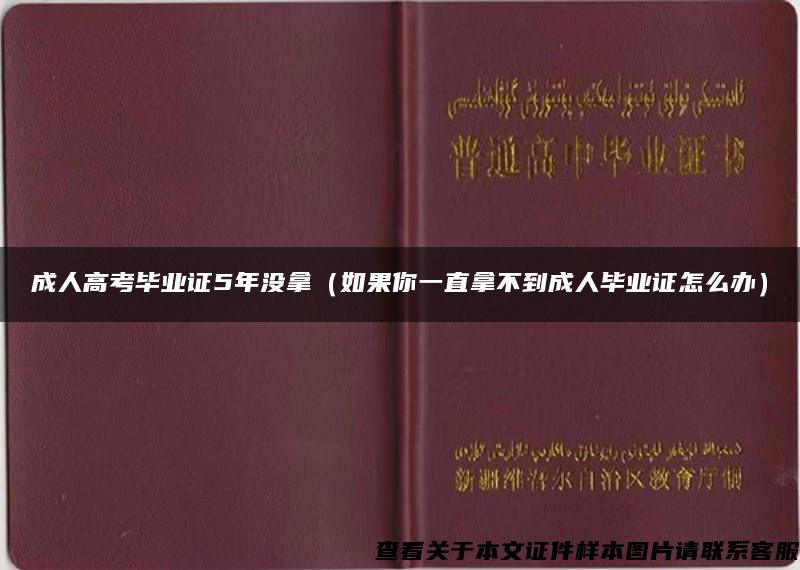 成人高考毕业证5年没拿（如果你一直拿不到成人毕业证怎么办）