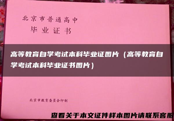 高等教育自学考试本科毕业证图片（高等教育自学考试本科毕业证书图片）