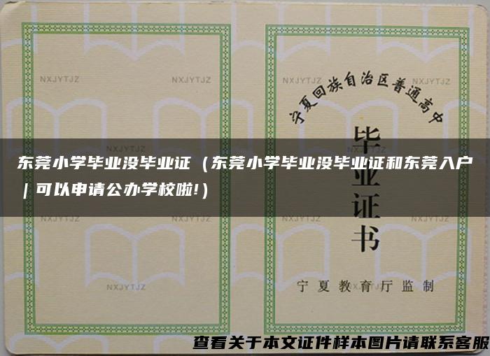 东莞小学毕业没毕业证（东莞小学毕业没毕业证和东莞入户｜可以申请公办学校啦!）