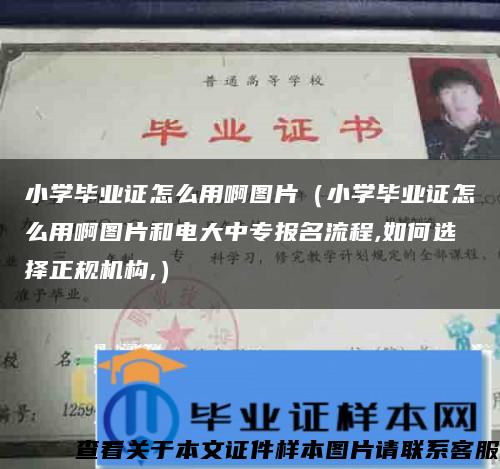 小学毕业证怎么用啊图片（小学毕业证怎么用啊图片和电大中专报名流程,如何选择正规机构,）