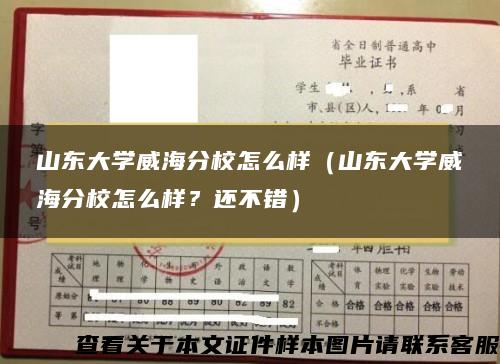 山东大学威海分校怎么样（山东大学威海分校怎么样？还不错）