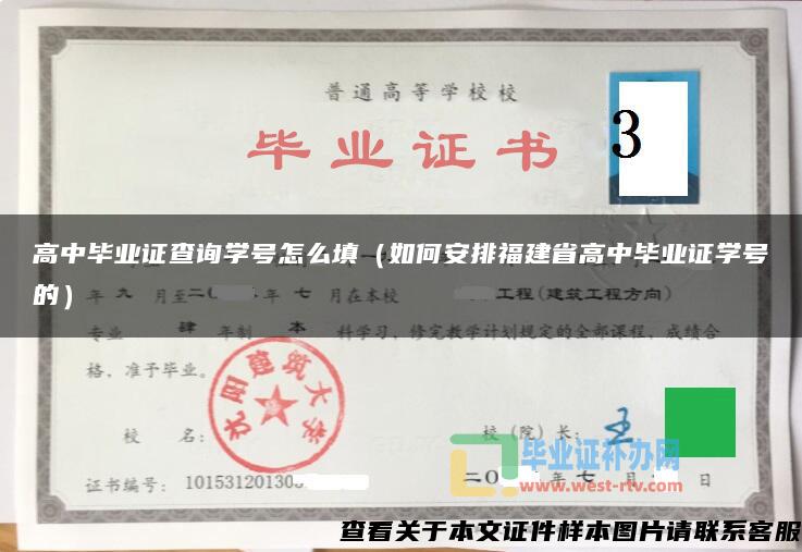 高中毕业证查询学号怎么填（如何安排福建省高中毕业证学号的）