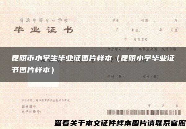 昆明市小学生毕业证图片样本（昆明小学毕业证书图片样本）