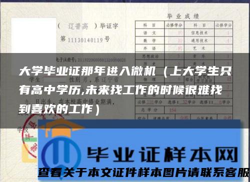 大学毕业证那年进入微机（上大学生只有高中学历,未来找工作的时候很难找到喜欢的工作）