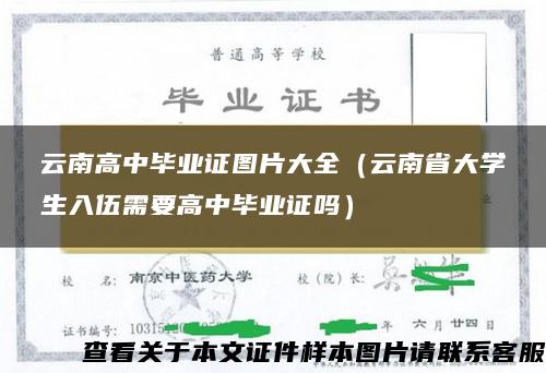 云南高中毕业证图片大全（云南省大学生入伍需要高中毕业证吗）