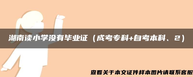 湖南读小学没有毕业证（成考专科+自考本科、2）