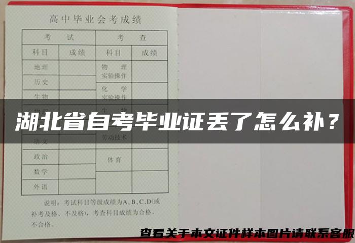 湖北省自考毕业证丢了怎么补？