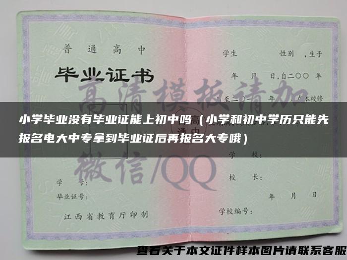 小学毕业没有毕业证能上初中吗（小学和初中学历只能先报名电大中专拿到毕业证后再报名大专哦）