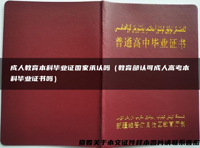 成人教育本科毕业证国家承认吗（教育部认可成人高考本科毕业证书吗）