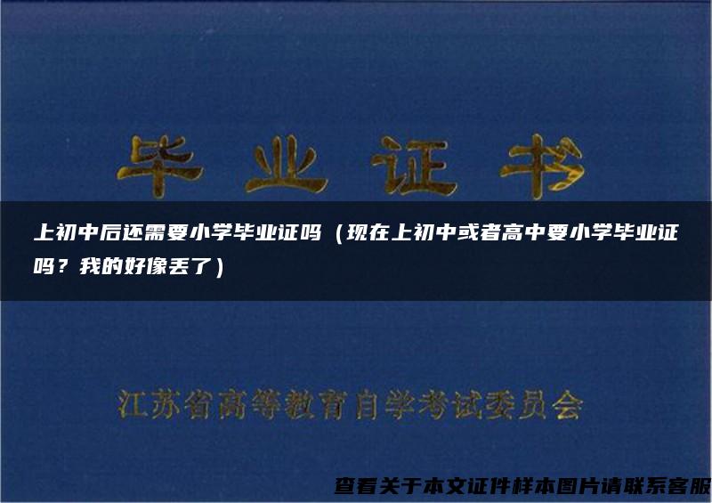 上初中后还需要小学毕业证吗（现在上初中或者高中要小学毕业证吗？我的好像丢了）