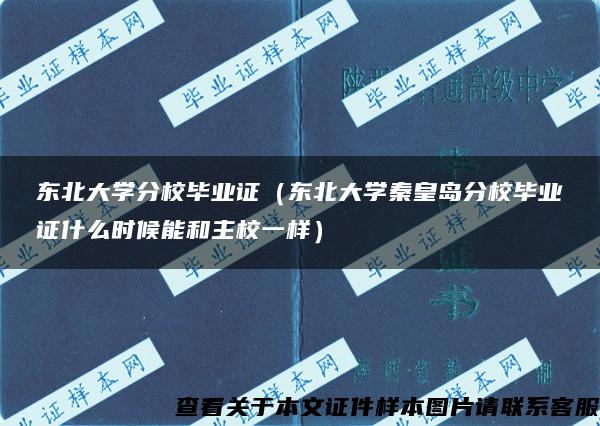 东北大学分校毕业证（东北大学秦皇岛分校毕业证什么时候能和主校一样）