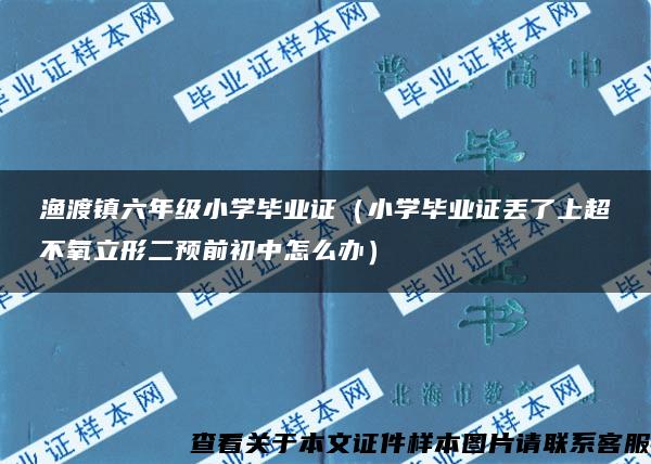 渔渡镇六年级小学毕业证（小学毕业证丢了上超不氧立形二预前初中怎么办）