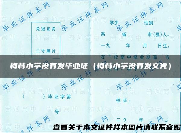 梅林小学没有发毕业证（梅林小学没有发文凭）