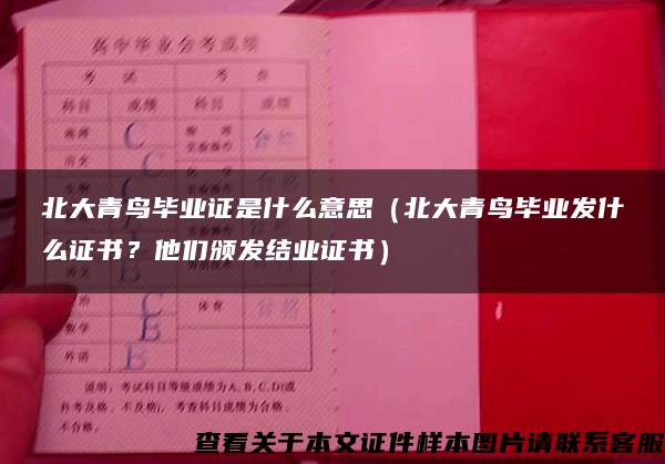 北大青鸟毕业证是什么意思（北大青鸟毕业发什么证书？他们颁发结业证书）