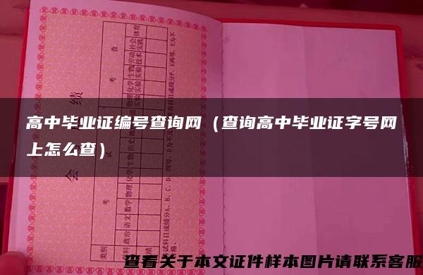 高中毕业证编号查询网（查询高中毕业证字号网上怎么查）