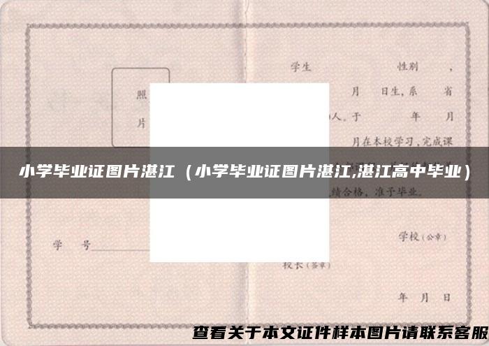 小学毕业证图片湛江（小学毕业证图片湛江,湛江高中毕业）