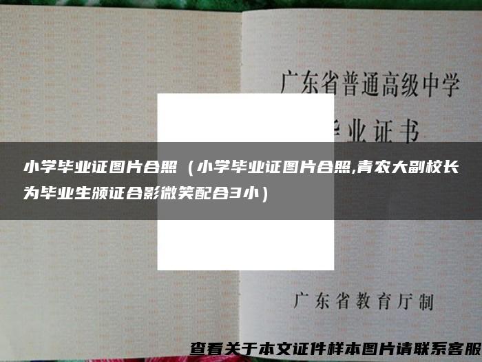 小学毕业证图片合照（小学毕业证图片合照,青农大副校长为毕业生颁证合影微笑配合3小）