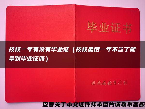 技校一年有没有毕业证（技校最后一年不念了能拿到毕业证吗）