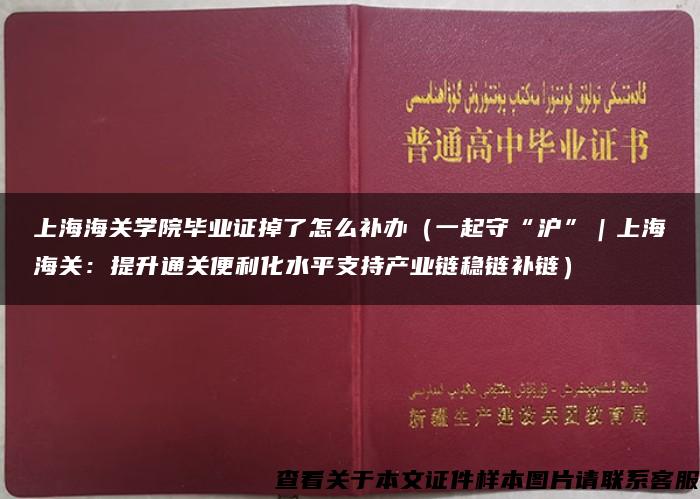 上海海关学院毕业证掉了怎么补办（一起守“沪”｜上海海关：提升通关便利化水平支持产业链稳链补链）