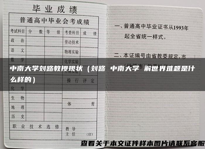 中南大学刘路教授现状（刘路 中南大学 解世界难题是什么样的）