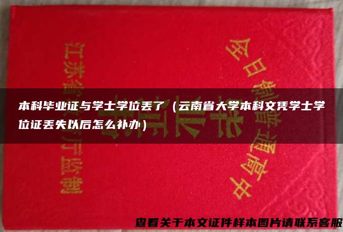 本科毕业证与学士学位丢了（云南省大学本科文凭学士学位证丢失以后怎么补办）