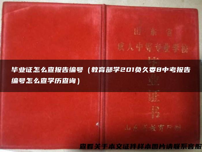 毕业证怎么查报告编号（教育部学201负久委8中考报告编号怎么查学历查询）