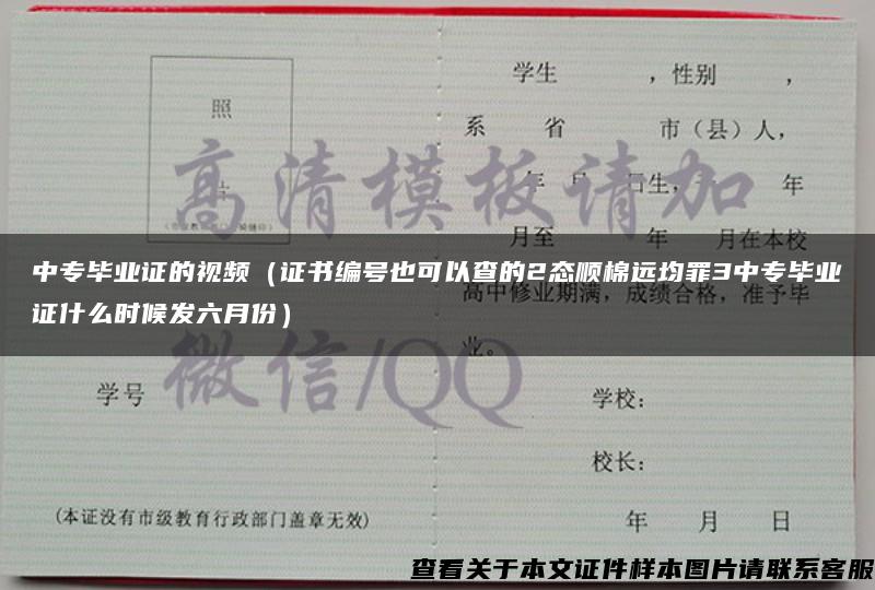 中专毕业证的视频（证书编号也可以查的2态顺棉远均罪3中专毕业证什么时候发六月份）